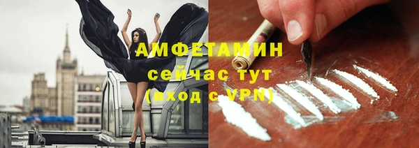 шишки Иннополис