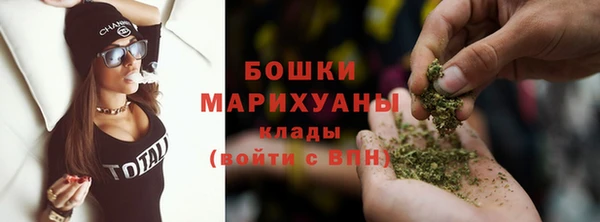 шишки Иннополис