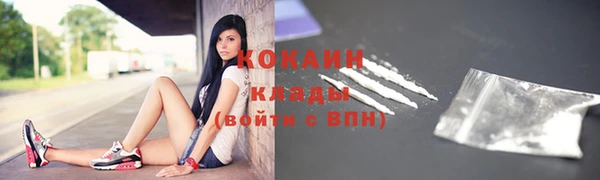 шишки Иннополис