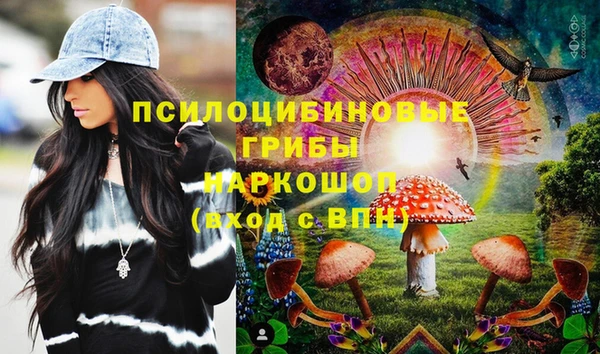 шишки Иннополис