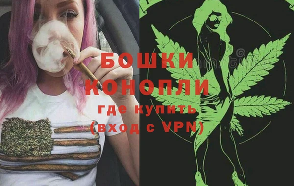шишки Иннополис