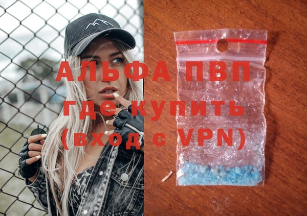 шишки Иннополис